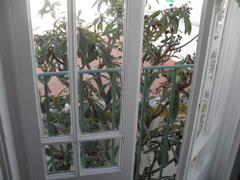 Casa Verde フィレイラ・ド・アレンテジョ 部屋 写真